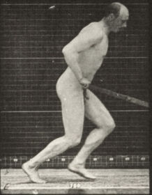 Plate 393 Pushing a garden roller — figure reference